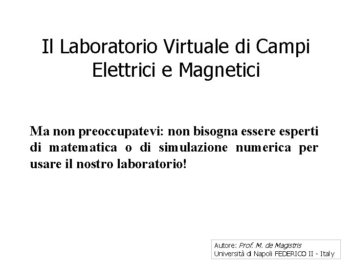 Il Laboratorio Virtuale di Campi Elettrici e Magnetici Ma non preoccupatevi: non bisogna essere