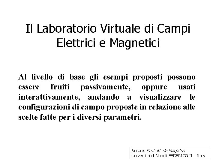 Il Laboratorio Virtuale di Campi Elettrici e Magnetici Al livello di base gli esempi
