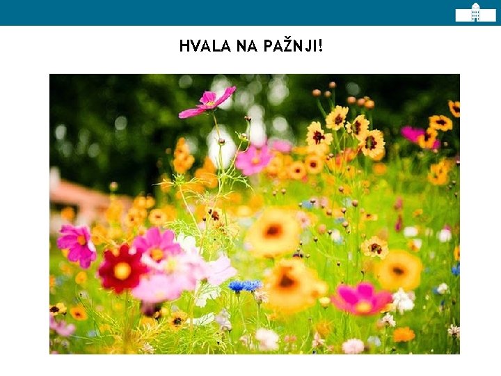 HVALA NA PAŽNJI! 