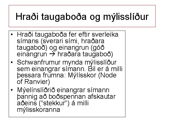 Hraði taugaboða og mýlisslíður • Hraði taugaboða fer eftir sverleika símans (sverari sími, hraðara