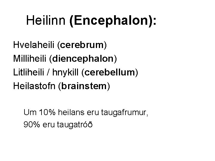 Heilinn (Encephalon): Hvelaheili (cerebrum) Milliheili (diencephalon) Litliheili / hnykill (cerebellum) Heilastofn (brainstem) Um 10%