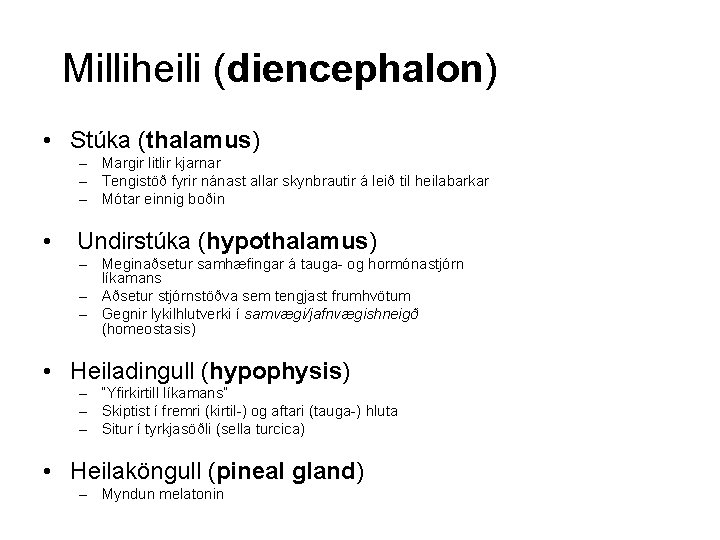 Milliheili (diencephalon) • Stúka (thalamus) – Margir litlir kjarnar – Tengistöð fyrir nánast allar