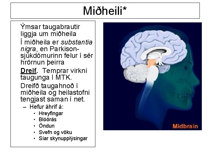 Miðheili* Ýmsar taugabrautir liggja um miðheila Í miðheila er substantia nigra, en Parkisonsjúkdómurinn felur