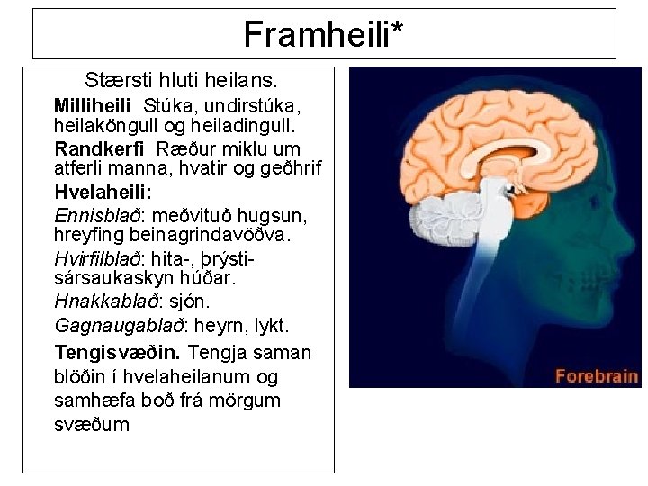 Framheili* Stærsti hluti heilans. Milliheili Stúka, undirstúka, heilaköngull og heiladingull. Randkerfi Ræður miklu um