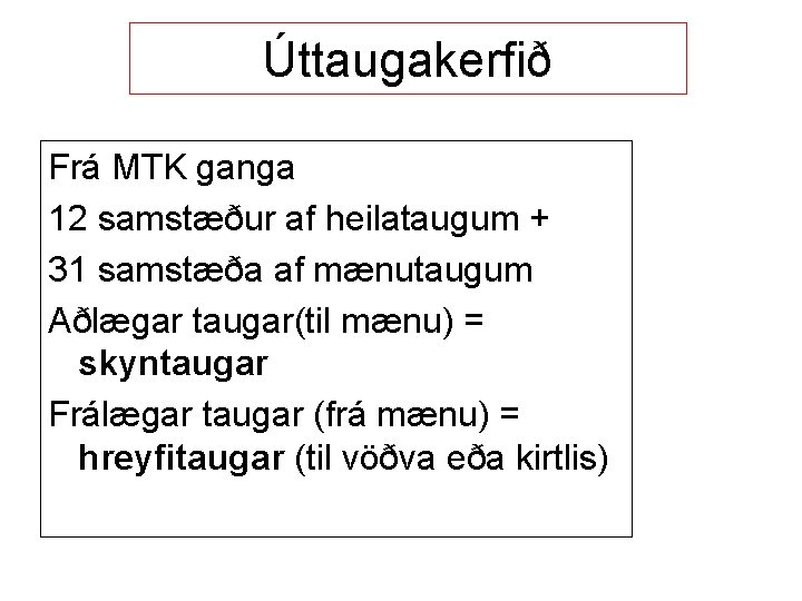 Úttaugakerfið Frá MTK ganga 12 samstæður af heilataugum + 31 samstæða af mænutaugum Aðlægar