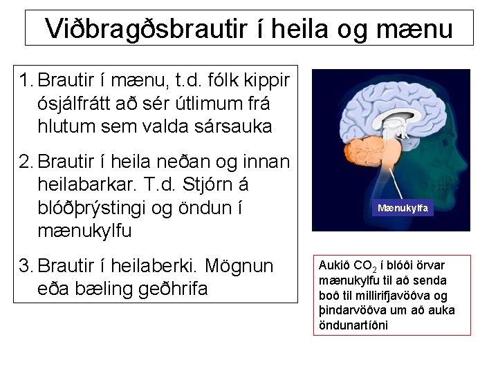 Viðbragðsbrautir í heila og mænu 1. Brautir í mænu, t. d. fólk kippir ósjálfrátt