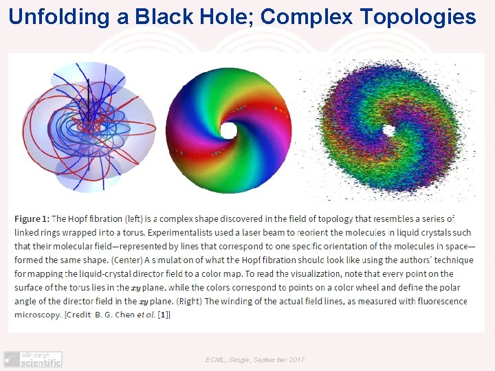 Unfolding a Black Hole; Complex Topologies ECML, Skopje, September 2017 