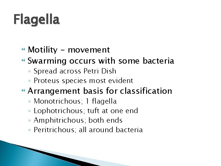 Flagella Motility - movement Swarming occurs with some bacteria ◦ Spread across Petri Dish