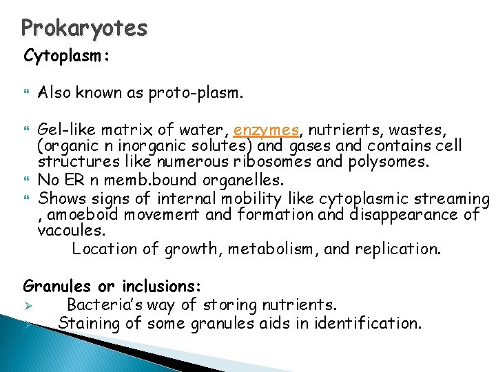 Prokaryotes Cytoplasm: Also known as proto-plasm. Gel-like matrix of water, enzymes, nutrients, wastes, (organic