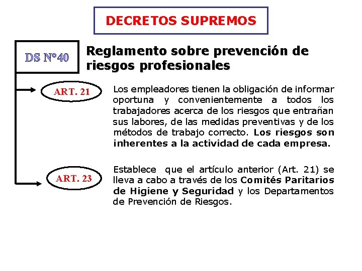 DECRETOS SUPREMOS DS N° 40 Reglamento sobre prevención de riesgos profesionales ART. 21 ART.