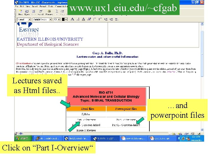 www. ux 1. eiu. edu/~cfgab Lectures saved as Html files. . …and powerpoint files