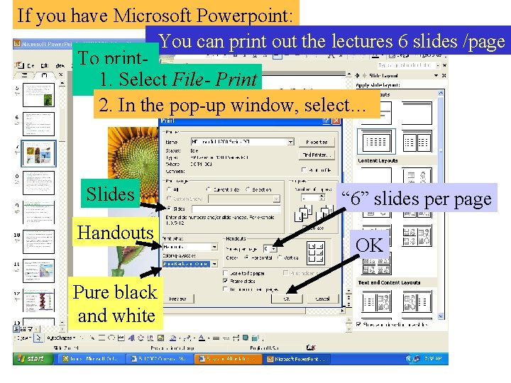 If you have Microsoft Powerpoint: -You can print out the lectures 6 slides /page