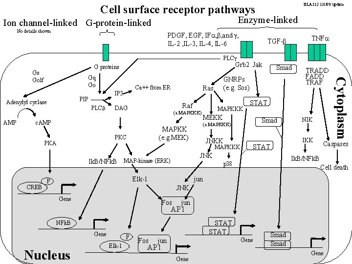 BLA 512 1/5/98 update Cell surface receptor pathways Enzyme-linked Ion channel-linked G-protein-linked No details