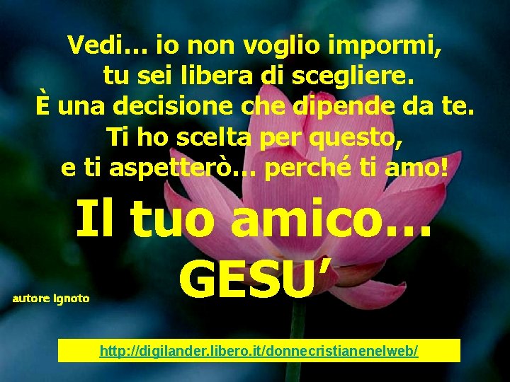 Vedi… io non voglio impormi, tu sei libera di scegliere. È una decisione che