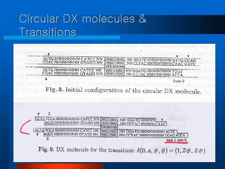 Circular DX molecules & Transitions 