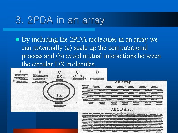 3. 2 PDA in an array l By including the 2 PDA molecules in
