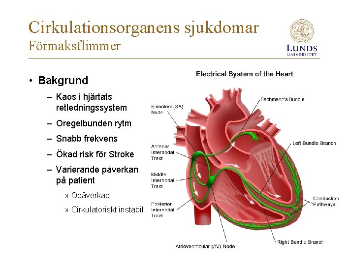 Cirkulationsorganens sjukdomar Förmaksflimmer • Bakgrund – Kaos i hjärtats retledningssystem – Oregelbunden rytm –