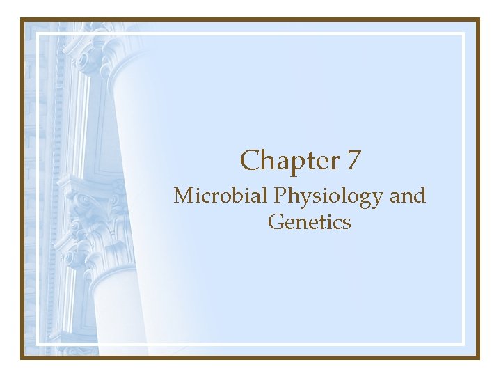 Chapter 7 Microbial Physiology and Genetics 