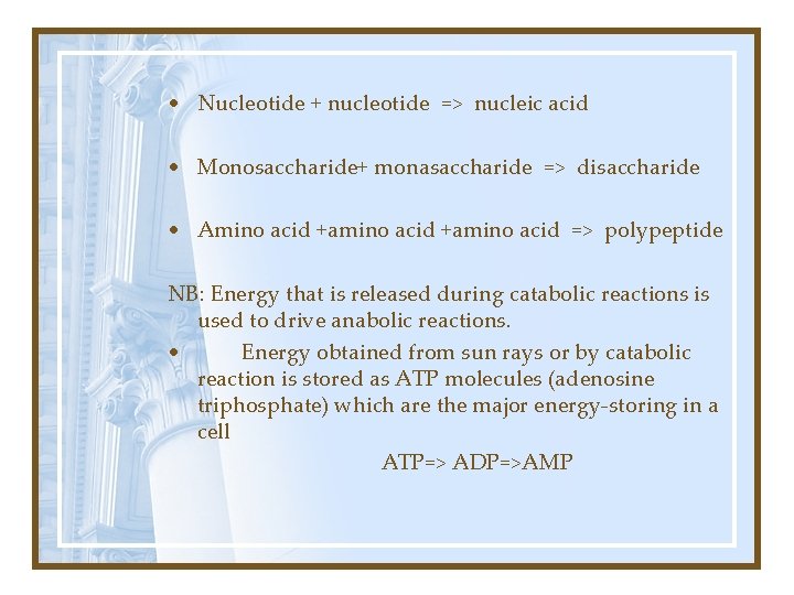  • Nucleotide + nucleotide => nucleic acid • Monosaccharide+ monasaccharide => disaccharide •