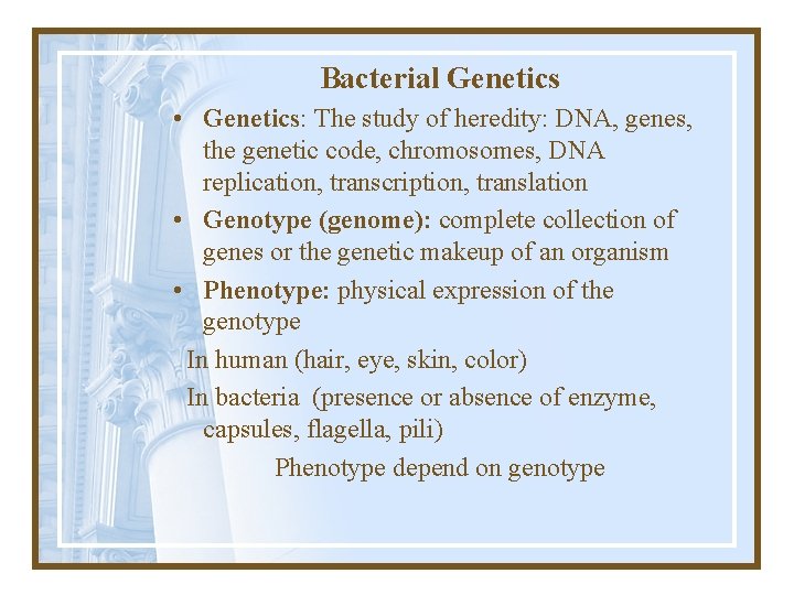 Bacterial Genetics • Genetics: The study of heredity: DNA, genes, the genetic code, chromosomes,