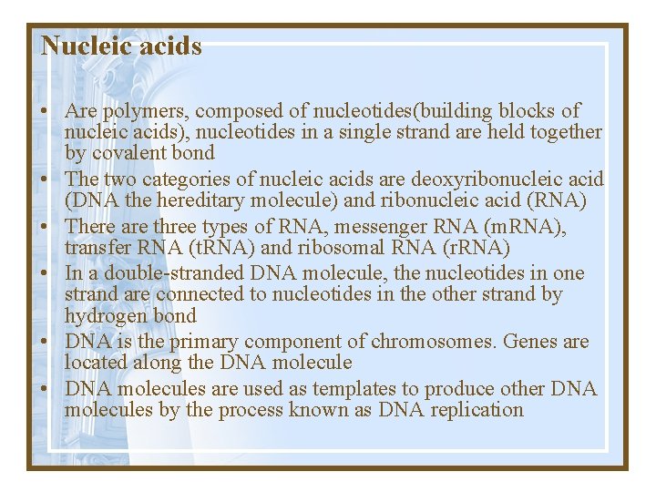 Nucleic acids • Are polymers, composed of nucleotides(building blocks of nucleic acids), nucleotides in