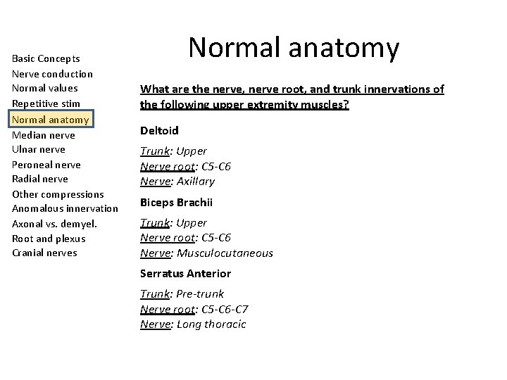 Basic Concepts Nerve conduction Normal values Repetitive stim Normal anatomy Median nerve Ulnar nerve