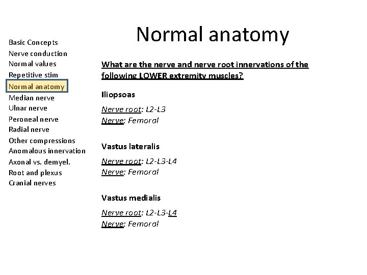 Basic Concepts Nerve conduction Normal values Repetitive stim Normal anatomy Median nerve Ulnar nerve