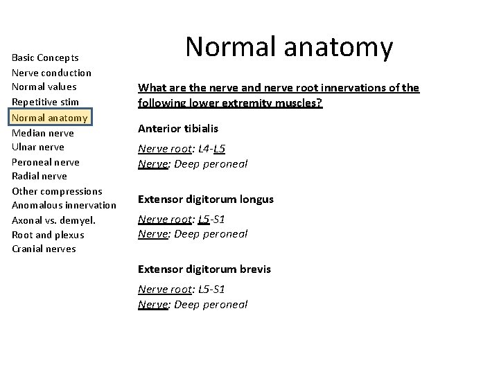 Basic Concepts Nerve conduction Normal values Repetitive stim Normal anatomy Median nerve Ulnar nerve