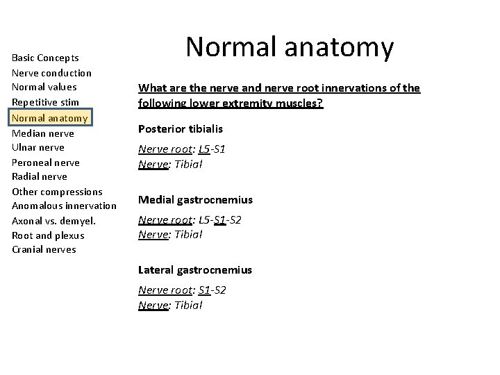 Basic Concepts Nerve conduction Normal values Repetitive stim Normal anatomy Median nerve Ulnar nerve