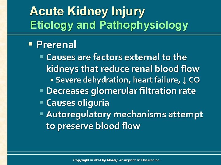 Acute Kidney Injury Etiology and Pathophysiology § Prerenal § Causes are factors external to