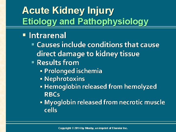 Acute Kidney Injury Etiology and Pathophysiology § Intrarenal § Causes include conditions that cause