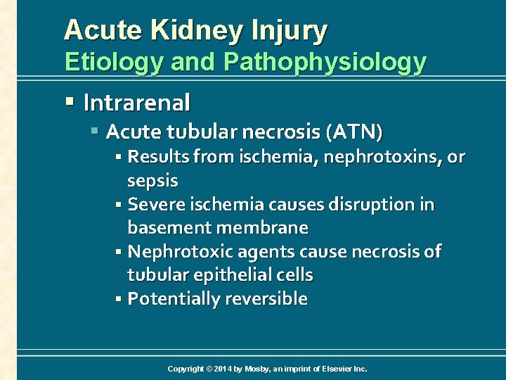 Acute Kidney Injury Etiology and Pathophysiology § Intrarenal § Acute tubular necrosis (ATN) §