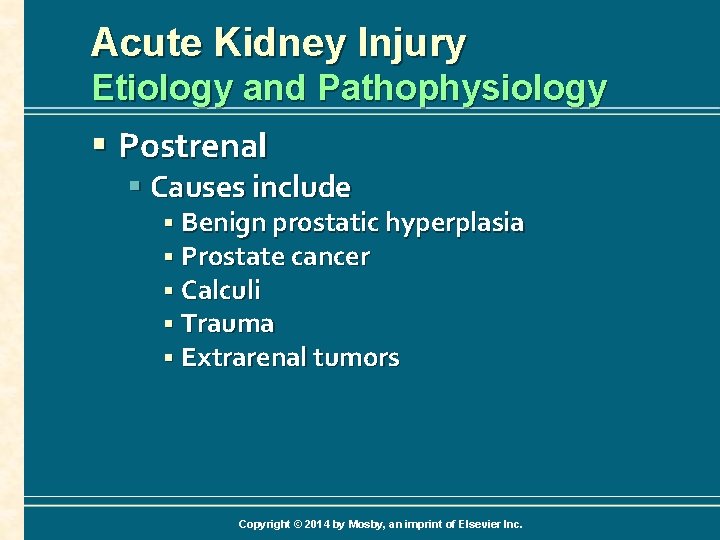 Acute Kidney Injury Etiology and Pathophysiology § Postrenal § Causes include § Benign prostatic