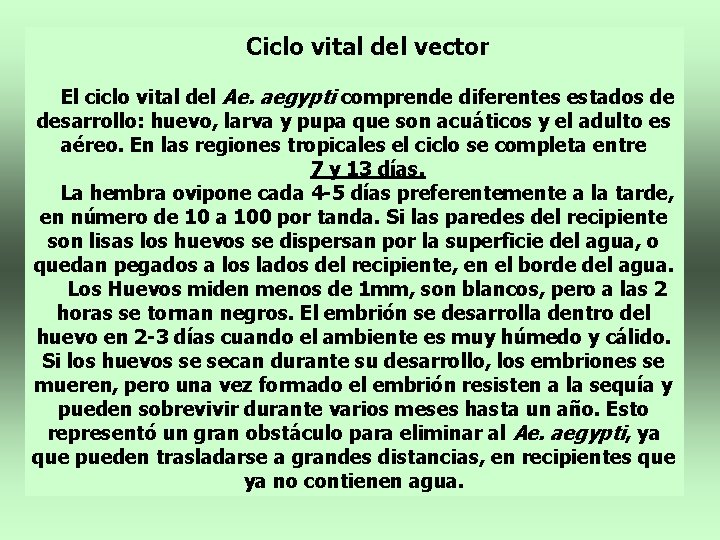 Ciclo vital del vector El ciclo vital del Ae. aegypti comprende diferentes estados de