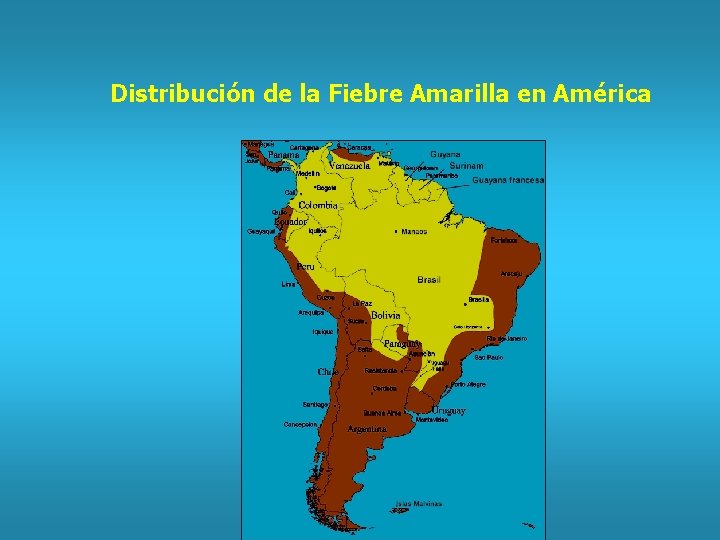 Distribución de la Fiebre Amarilla en América 