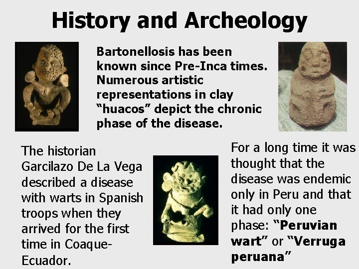 History and Archeology Bartonellosis has been known since Pre-Inca times. Numerous artistic representations in