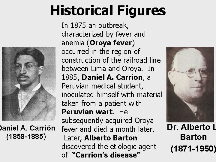 Historical Figures In 1875 an outbreak, characterized by fever and anemia (Oroya fever) occurred