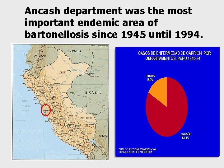 Ancash department was the most important endemic area of bartonellosis since 1945 until 1994.