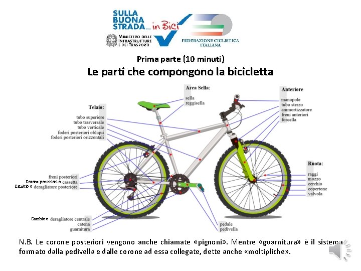 Prima parte (10 minuti) Le parti che compongono la bicicletta Corone posteriori o Cambio