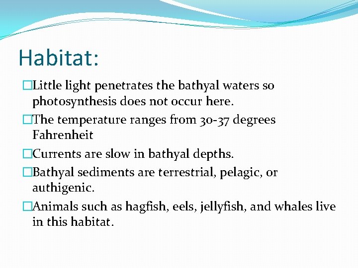 Habitat: �Little light penetrates the bathyal waters so photosynthesis does not occur here. �The