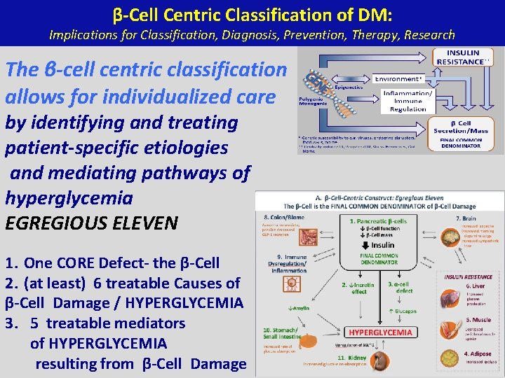β-Cell Centric Classification of DM: Implications for Classification, Diagnosis, Prevention, Therapy, Research The β-cell
