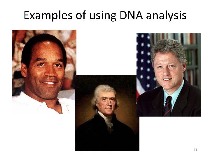 Examples of using DNA analysis 11 