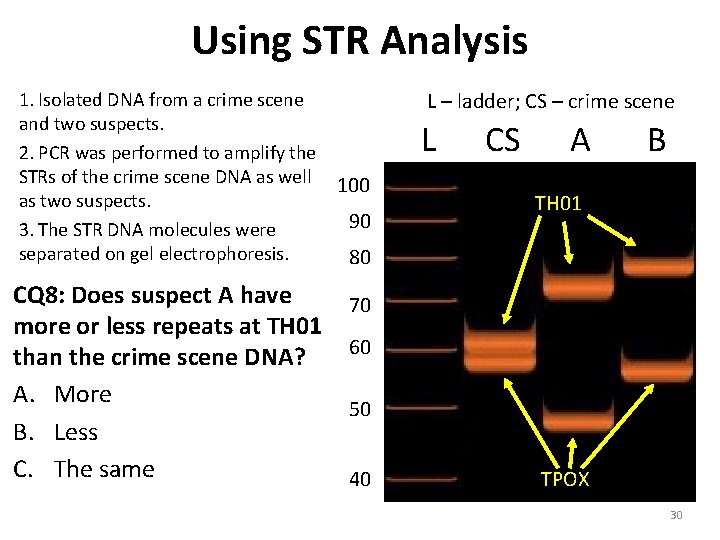 Using STR Analysis 1. Isolated DNA from a crime scene and two suspects. 2.