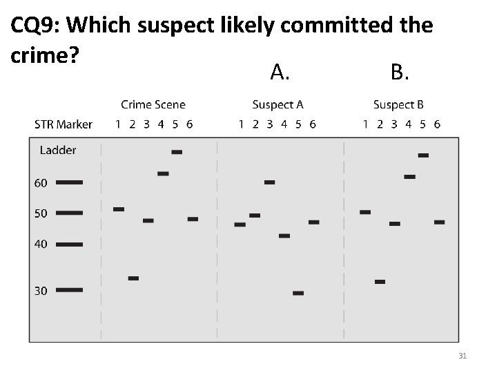 CQ 9: Which suspect likely committed the crime? A. B. 31 