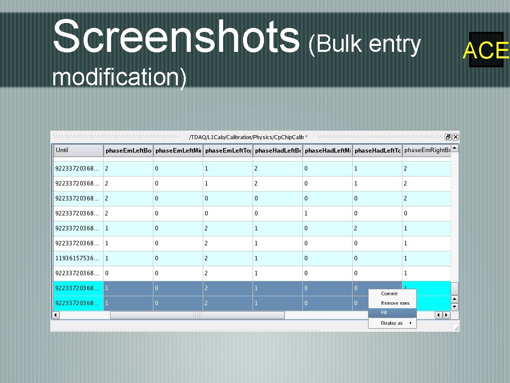 Screenshots (Bulk entry modification) ACE 