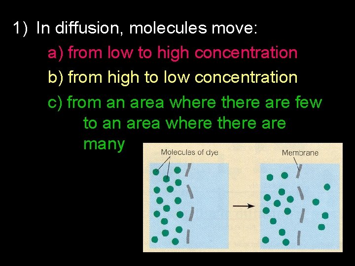 1) In diffusion, molecules move: a) from low to high concentration b) from high