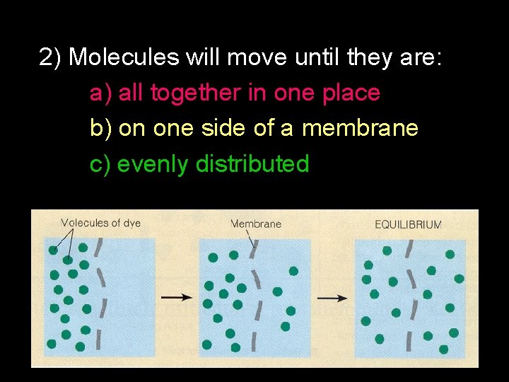 2) Molecules will move until they are: a) all together in one place b)