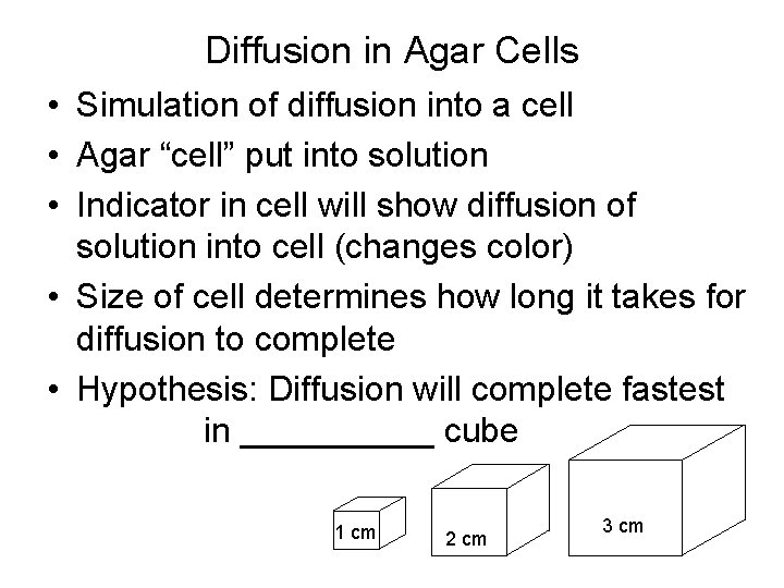 Diffusion in Agar Cells • Simulation of diffusion into a cell • Agar “cell”