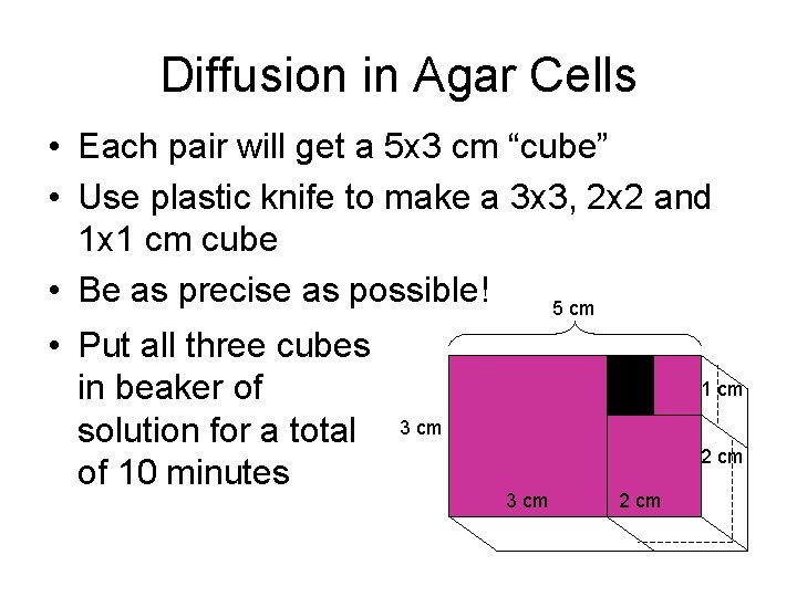 Diffusion in Agar Cells • Each pair will get a 5 x 3 cm
