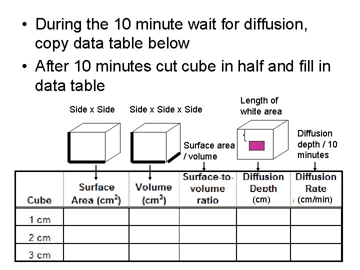  • During the 10 minute wait for diffusion, copy data table below •